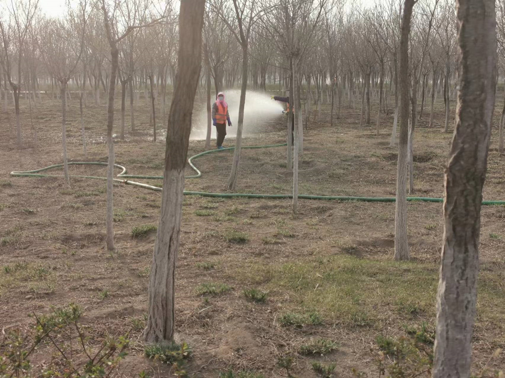 Садоводы готовятся к весне, поливая деревья с помощью плоского шланга из ПВХ